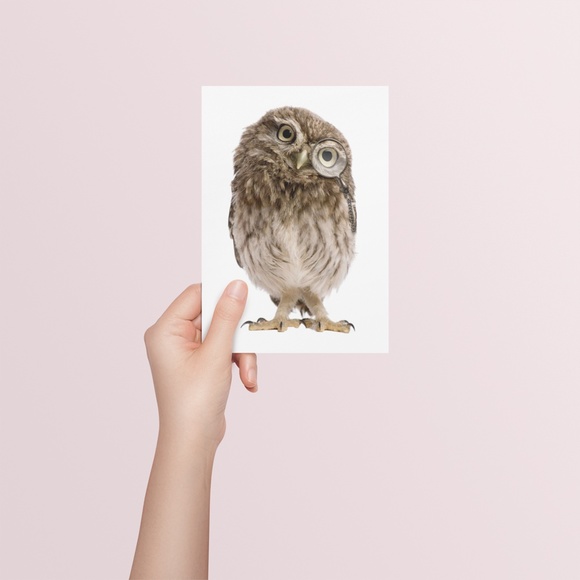 Owl Portrait Wall Art Print Poster Unframed - Picture 7 of 9